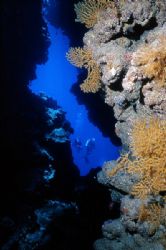 Out of the cave. Sharm El Sheikh area reefs, Red Sea . Ni... by Lyubomir Klissurov 